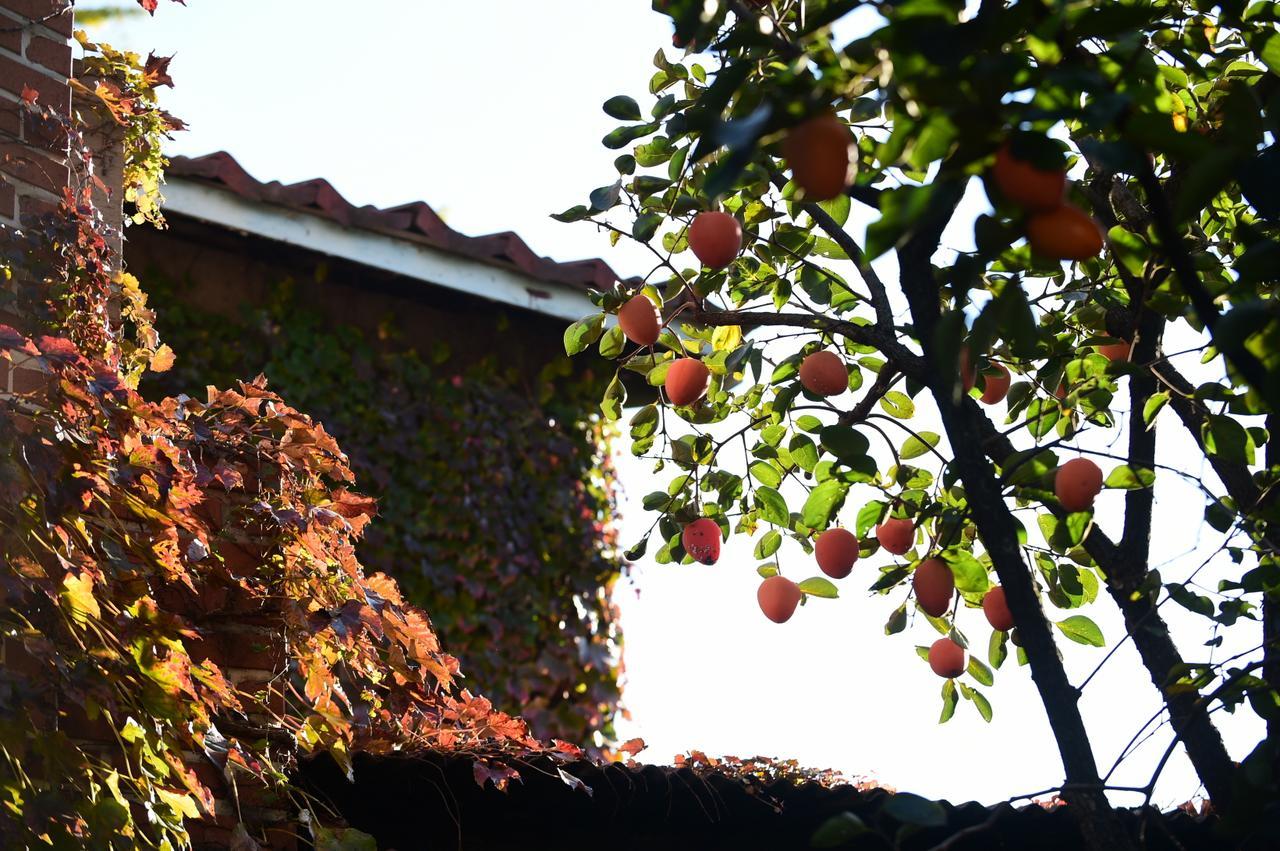 Photo Park Guesthouse Seul Dış mekan fotoğraf